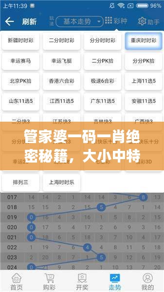 管家婆一碼一肖絕密秘籍，大小中特精準解析，JRW112.88編程版最新解讀