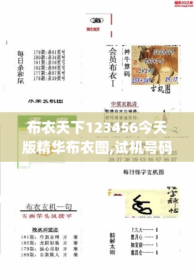 布衣天下123456今天版精華布衣圖,試機號碼,電網(wǎng)規(guī)劃發(fā)展目標_極限版ZXJ738.92