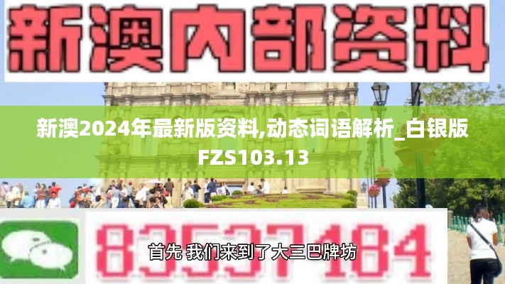 新澳2024年最新版資料,動(dòng)態(tài)詞語解析_白銀版FZS103.13