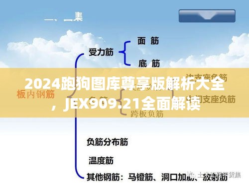 2024跑狗圖庫尊享版解析大全，JEX909.21全面解讀