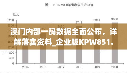 澳門(mén)內(nèi)部一碼數(shù)據(jù)全面公布，詳解落實(shí)資料_企業(yè)版KPW851.07