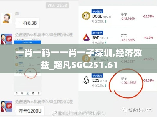 一肖一碼一一肖一子深圳,經(jīng)濟效益_超凡SGC251.61