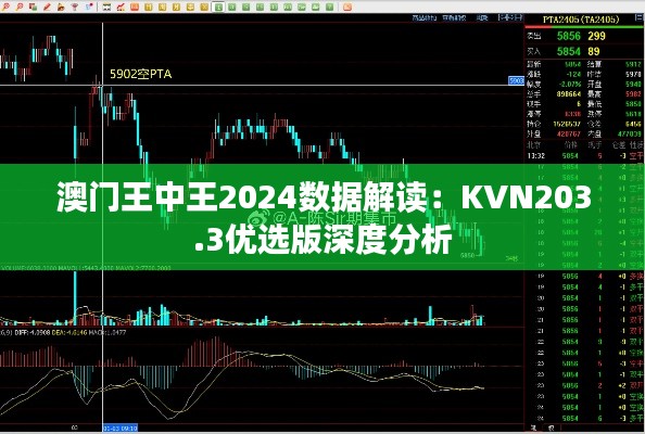 澳門(mén)王中王2024數(shù)據(jù)解讀：KVN203.3優(yōu)選版深度分析