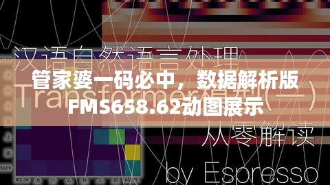 管家婆一碼必中，數(shù)據(jù)解析版FMS658.62動圖展示