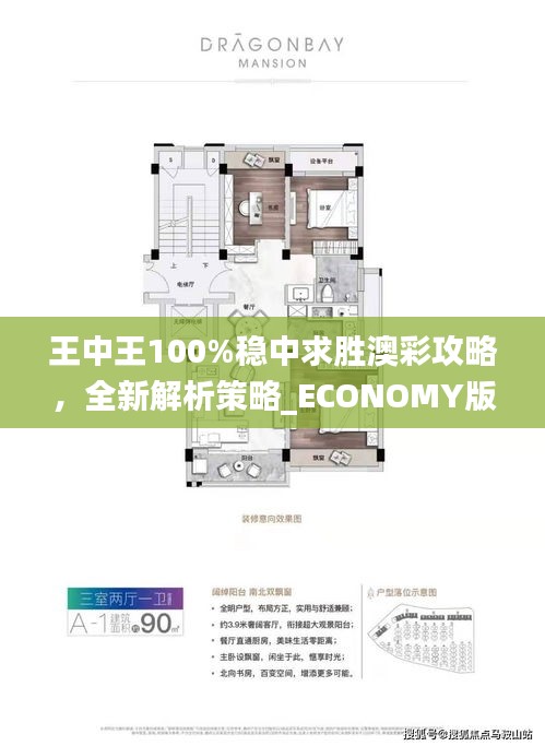 王中王100%穩(wěn)中求勝澳彩攻略，全新解析策略_ECONOMY版ANL510.67