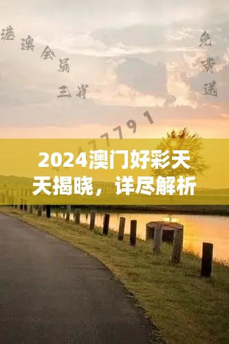 2024澳門好彩天天揭曉，詳盡解析BQY231.21和諧版