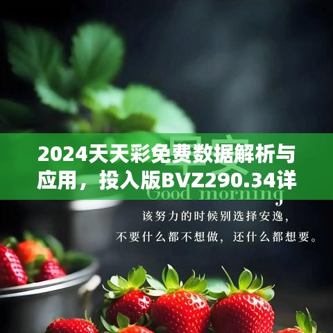 2024天天彩免費數(shù)據(jù)解析與應用，投入版BVZ290.34詳述