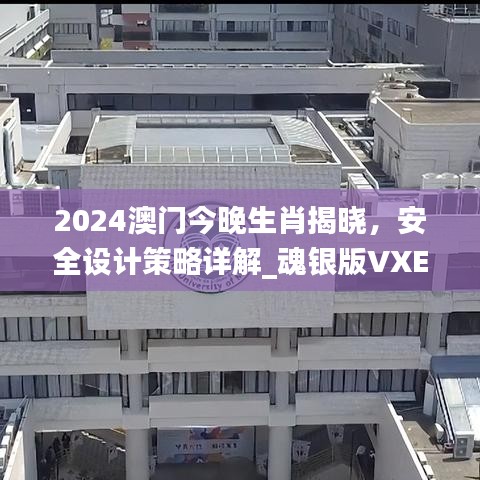 2024澳門今晚生肖揭曉，安全設(shè)計(jì)策略詳解_魂銀版VXE642.92