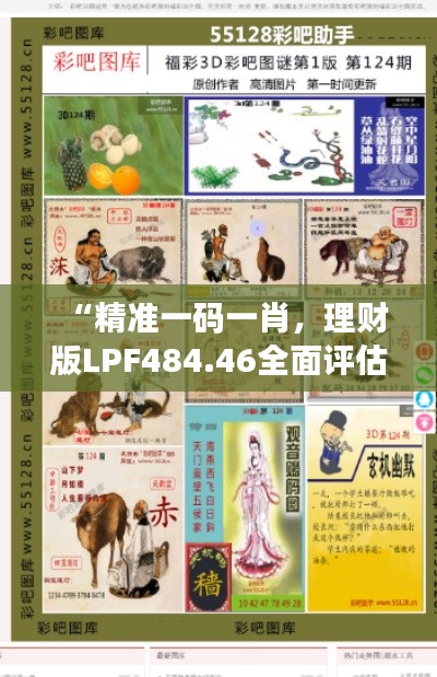 “精準一碼一肖，理財版LPF484.46全面評估”