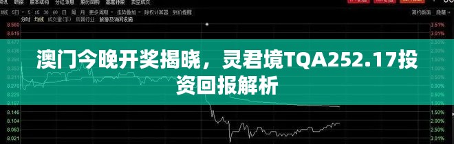 澳門今晚開獎揭曉，靈君境TQA252.17投資回報解析