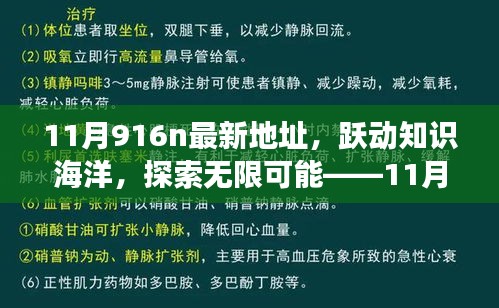 躍動知識海洋，探索無限可能，揭秘11月916n新地址魔法之旅，學習成就自信與成長