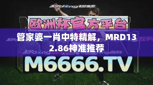 管家婆一肖中特精解，MRD132.86神準(zhǔn)推薦