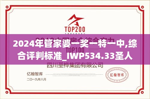 2024年管家婆一獎(jiǎng)一特一中,綜合評判標(biāo)準(zhǔn)_IWP534.33圣人