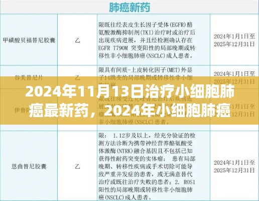 2024年小細(xì)胞肺癌治療新藥全面解析與用戶體驗，最新藥物評測及療效展望