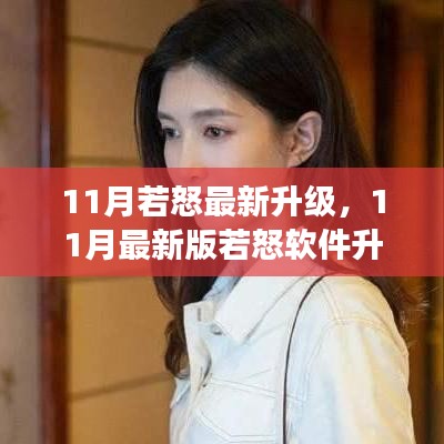 零基礎步步為營，11月最新版若怒軟件升級全攻略