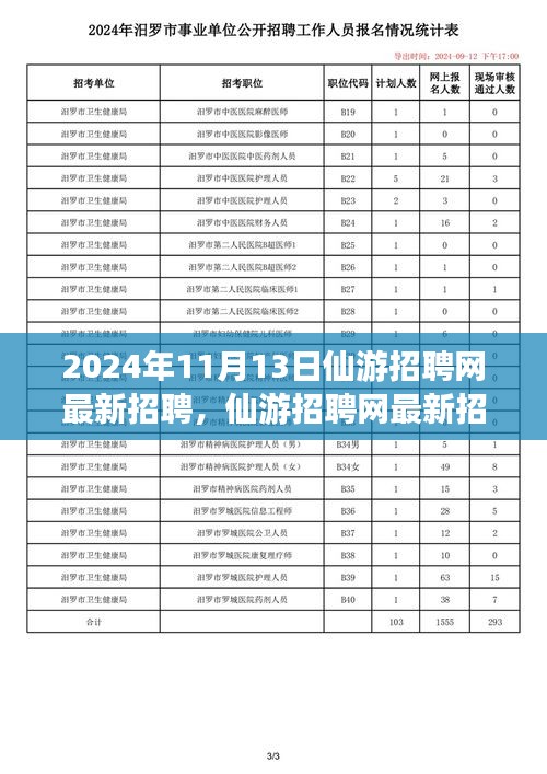 2024年11月13日仙游招聘網(wǎng)最新動(dòng)態(tài)，聚焦人才市場(chǎng)熱點(diǎn)