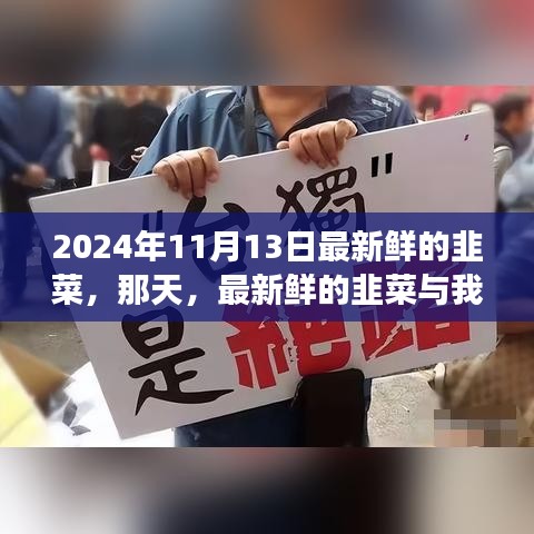 新鮮韭菜與溫馨故事，2024年11月13日的邂逅