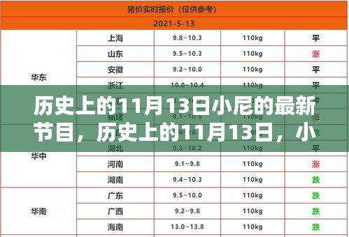 小尼最新節(jié)目深度解析，歷史上的十一月十三日