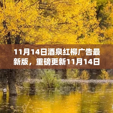 11月14日酒泉紅柳廣告最新版，重磅更新，精彩紛呈