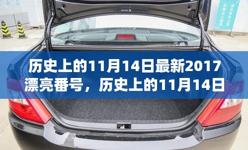 歷史上的11月14日最新2017漂亮番號(hào)，歷史上的11月14日，探尋那些閃耀的瞬間與美好記憶??