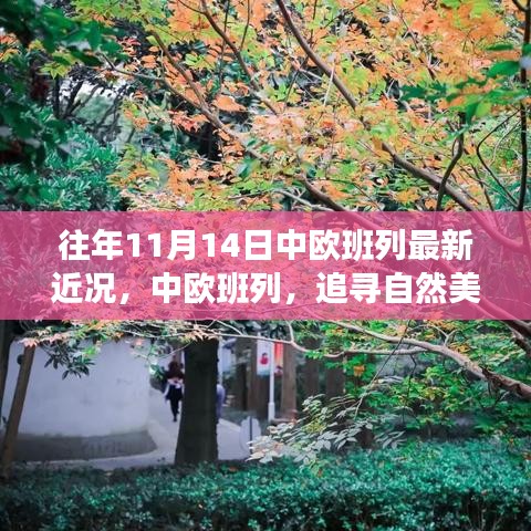 中歐班列秋日序曲，追尋自然美景與內(nèi)心寧靜之旅的最新近況