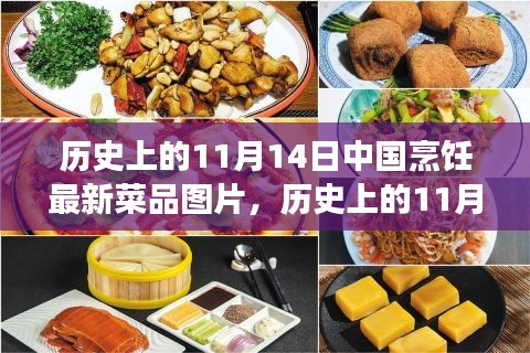 11月14日中國烹飪新菜品圖片展示，歷史菜品深度評測與介紹