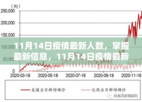 11月14日疫情最新人數(shù)查詢(xún)指南，掌握最新信息