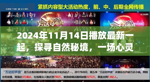 探尋自然秘境，心靈之旅啟程于2024年11月14日