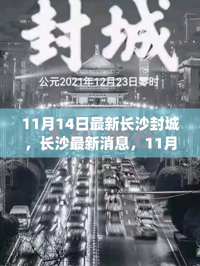 長沙封城最新消息，11月14日封城通知詳解，小紅書帶你掌握最新動(dòng)態(tài)