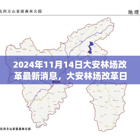 大安林場改革故事會(huì)，最新消息與溫馨改革之旅（2024年11月14日）