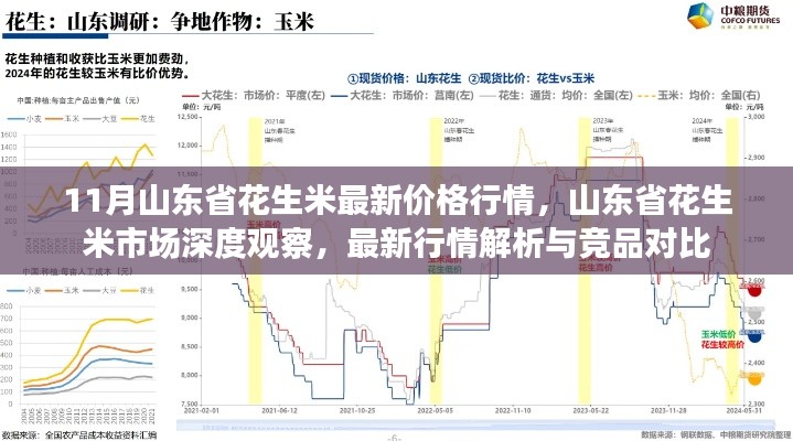 11月山東省花生米最新價(jià)格行情，山東省花生米市場(chǎng)深度觀察，最新行情解析與競(jìng)品對(duì)比