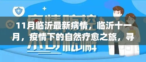 臨沂十一月疫情下的自然療愈之旅，尋找內(nèi)心的寧靜港灣