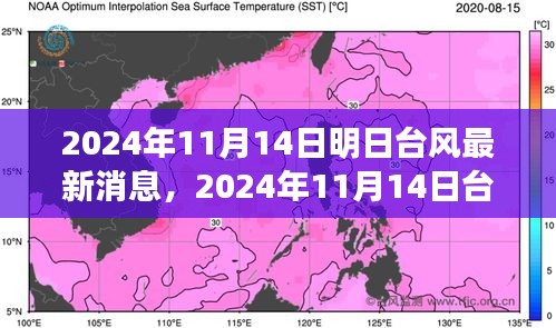 臺(tái)風(fēng)最新消息深度評(píng)測(cè)，特性、體驗(yàn)、競(jìng)品對(duì)比與用戶(hù)分析（2024年臺(tái)風(fēng)動(dòng)態(tài)）