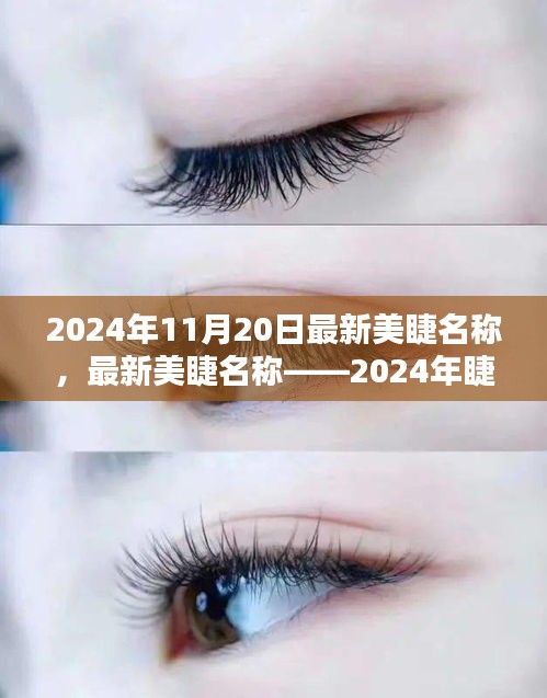 最新美睫名稱(chēng)揭秘，2024年睫毛美學(xué)的革命性變革