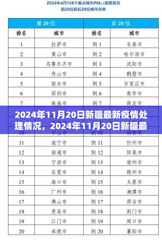 2024年11月20日新疆疫情處理最新動(dòng)態(tài)與深度解析