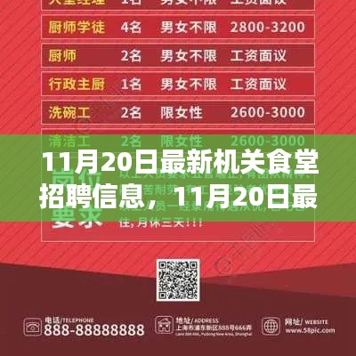 最新機關食堂招聘信息詳解，11月20日發(fā)布的全解析報告