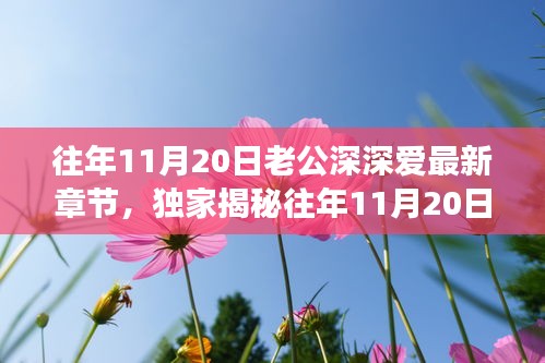 往年11月20日老公深情與高科技融合，全新智能伴侶揭秘，顛覆想象！