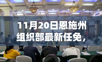 恩施州組織部最新任免動(dòng)態(tài)解析及用戶群體分析，特性、體驗(yàn)與競(jìng)品對(duì)比報(bào)告