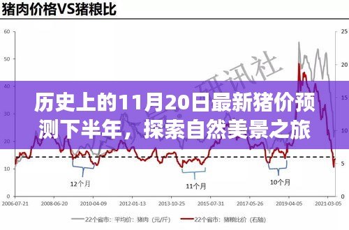 歷史上的11月20日豬價預測與心靈寧靜尋覓之旅，自然美景探索