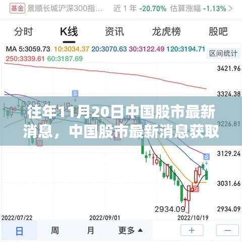 往年11月20日中國股市動態(tài)解析，獲取最新消息指南及初學者進階技巧