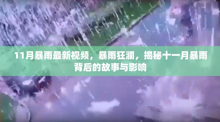 揭秘十一月暴雨背后的故事與影響，暴雨狂瀾最新視頻報道