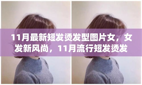 11月流行女發(fā)短燙發(fā)，全新風尚與全攻略圖片欣賞