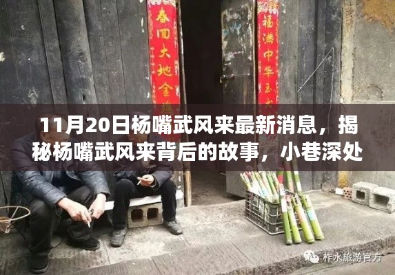 揭秘楊嘴武風來背后的故事，小巷深處的獨特風味（最新消息）