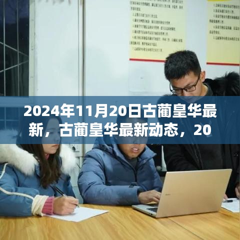 古藺皇華最新動態(tài)深度解析，2024年11月20日報告