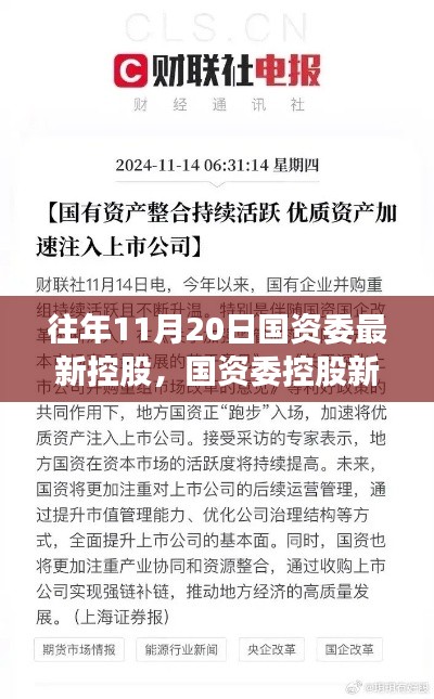 揭秘，國資委控股新紀(jì)元背后的重磅事件與影響，歷年11月20日的回顧與展望