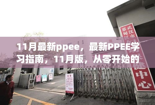 最新PPEE學習指南，從零開始的詳細步驟教程（11月版）