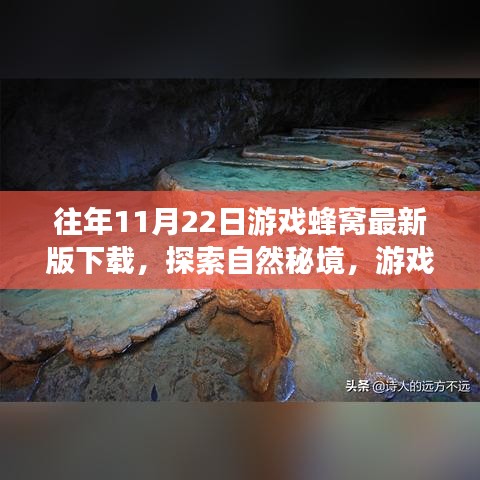 游戲蜂窩帶你探索自然秘境，最新下載，心靈平靜之旅