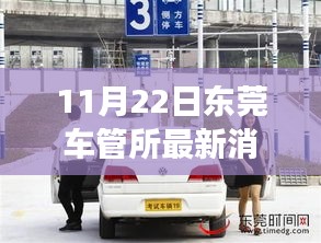 東莞車管所溫馨日常，趣事與陪伴的特別記錄（11月22日最新消息）