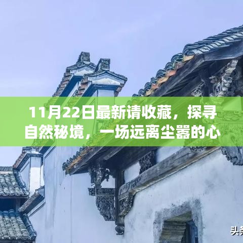 11月22日探尋自然秘境之旅，心靈啟程，珍藏美好瞬間