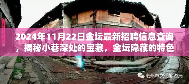 揭秘金壇隱藏特色小店與最新招聘信息奇遇記，2024年11月22日金壇招聘信息深度查詢